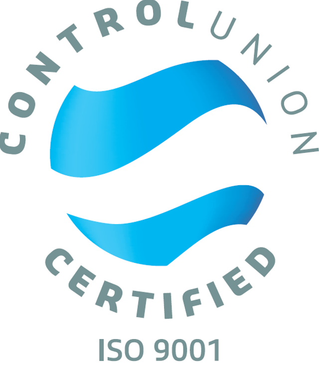 logo iso 9001