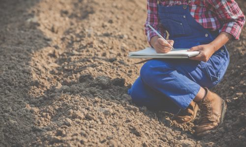 Women farmers are researching the soil.